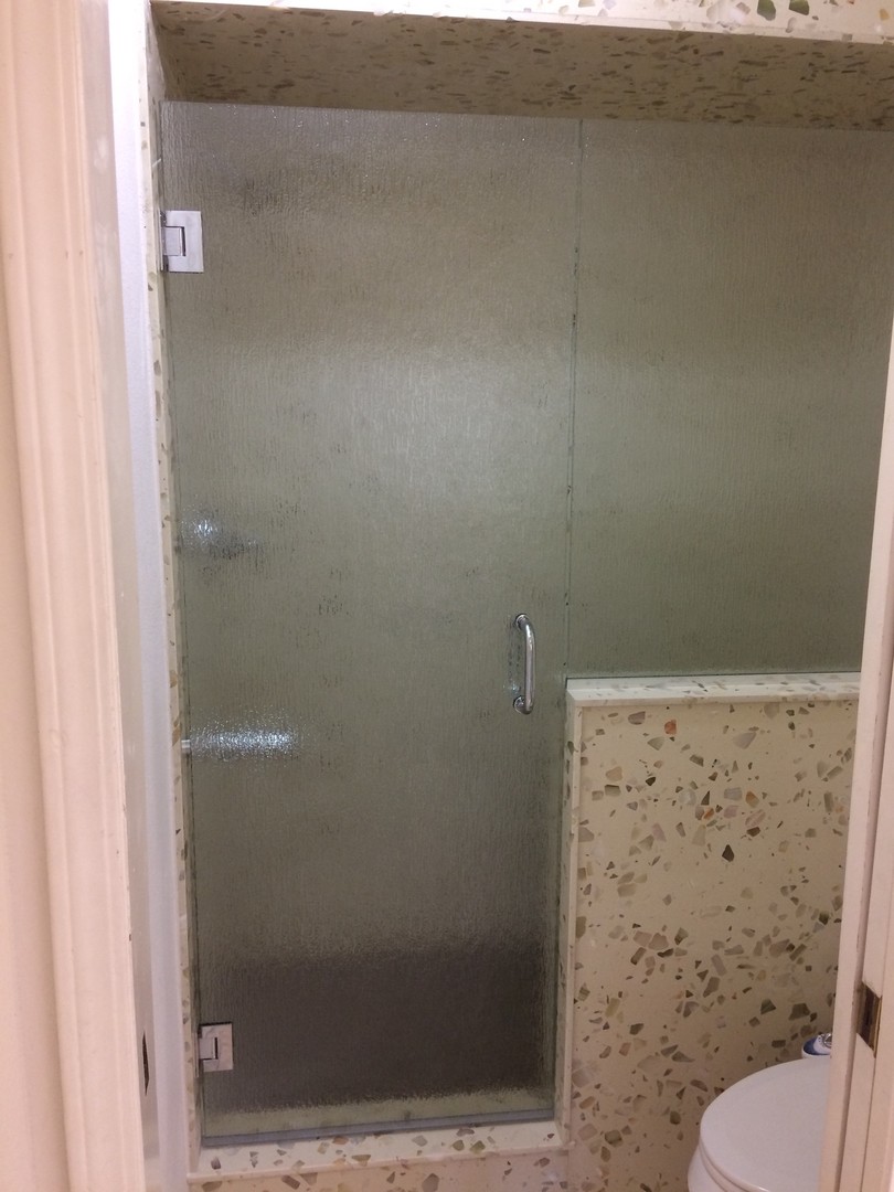 Shower Door 6