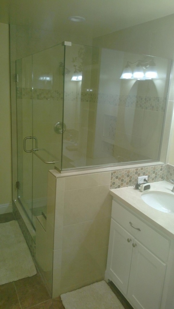 Shower Door 24